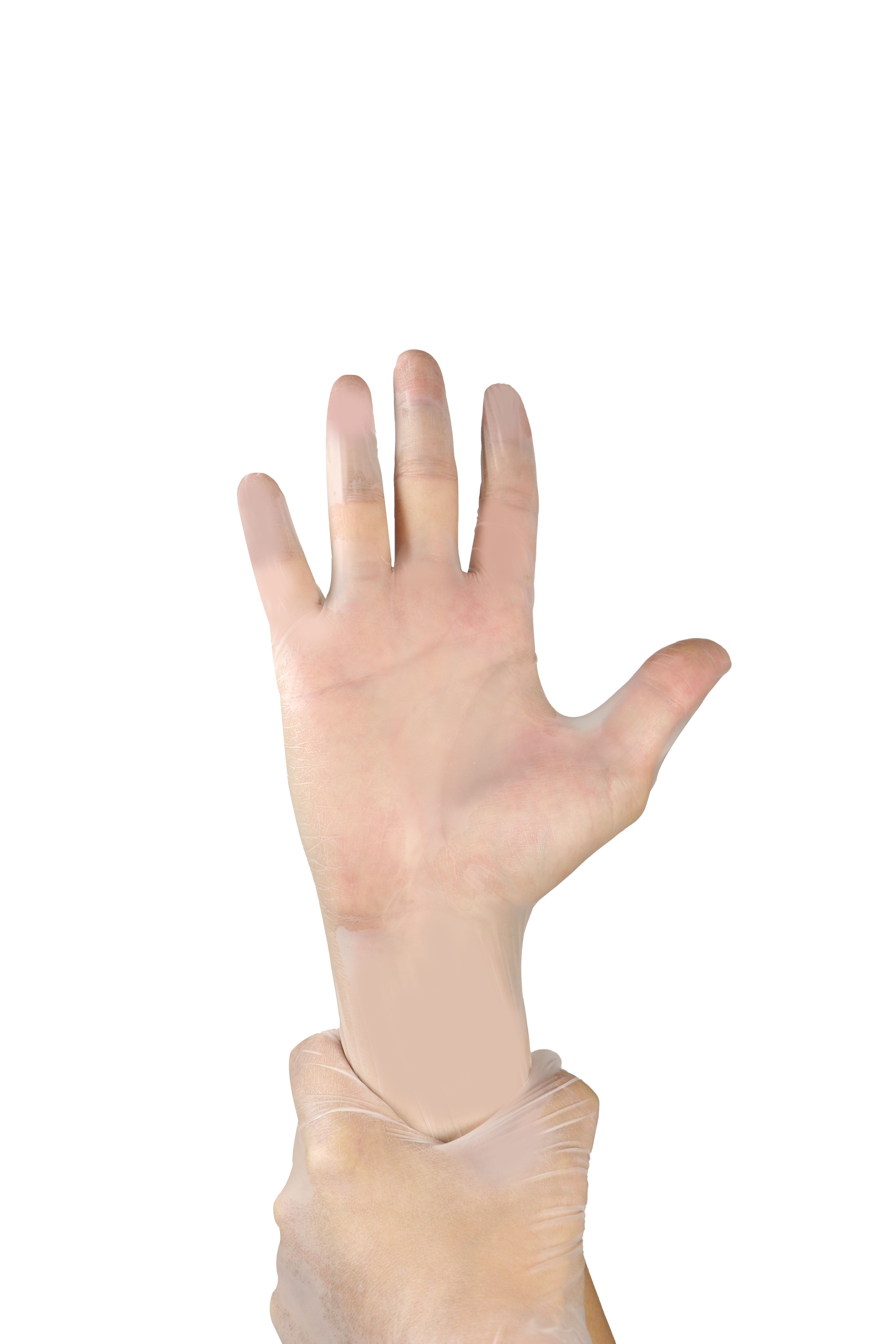 Vinyl Examination gloves- Clear