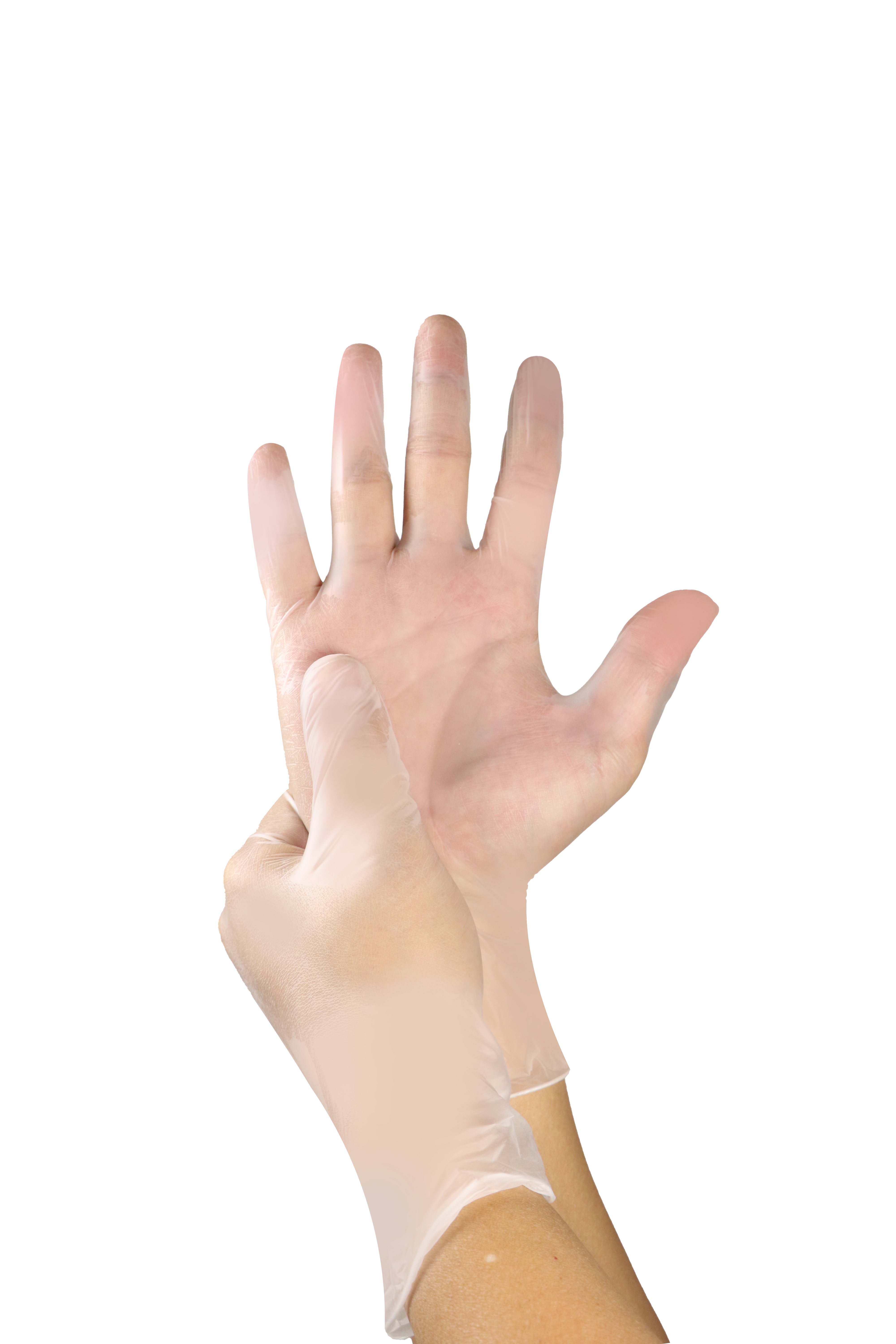 Vinyl Examination gloves- Clear